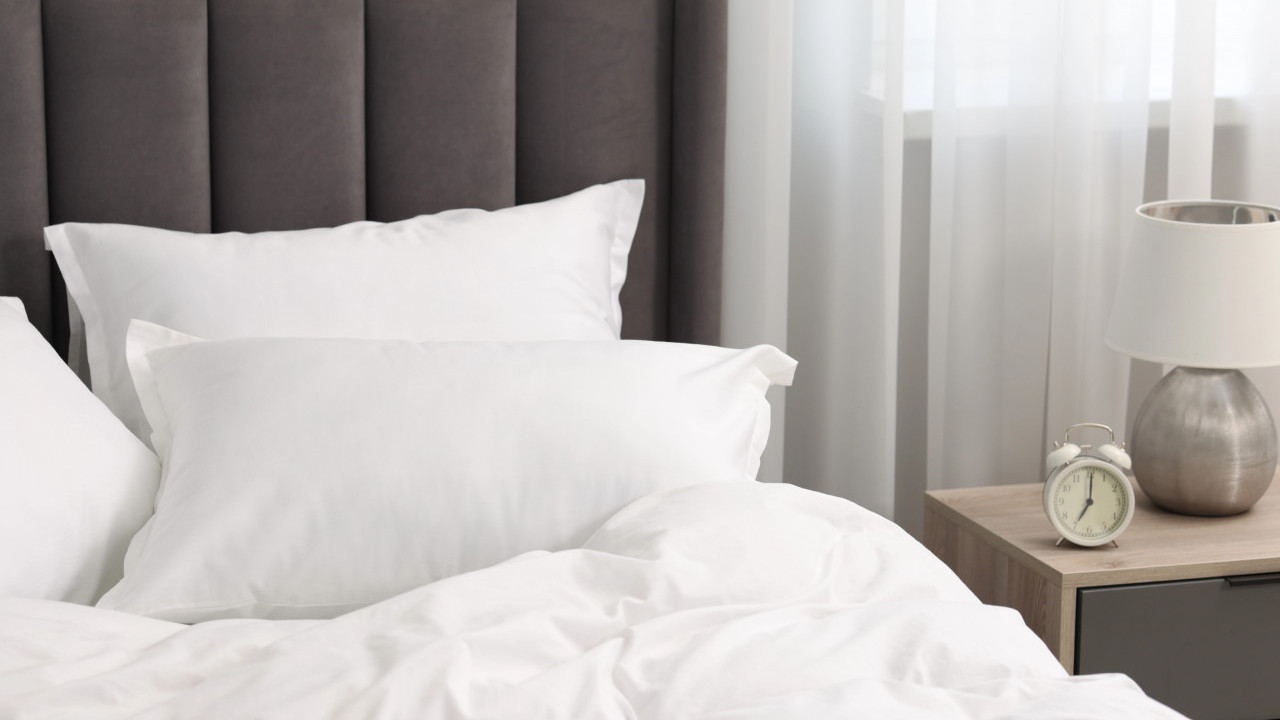 Траже се добровољци - 10 дана у кревету, плата 5.000 евра