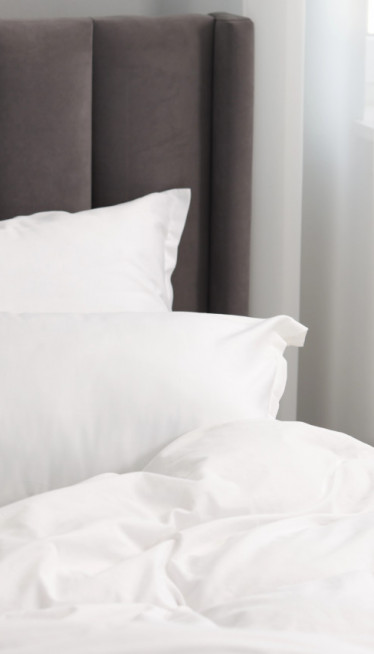 Traže se dobrovoljci - 10 dana u krevetu, plata 5.000 evra