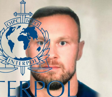 KAKO SAD IZGLEDA ZVICER? Interpol objavio slike! (FOTO)