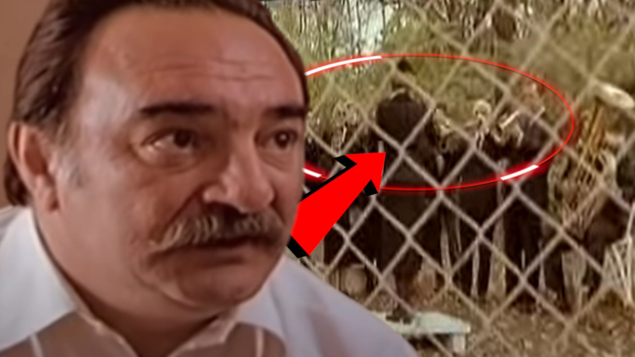 HIT ZABLUDA ŠPIJUNA Pevali pesmu iz filma, a OVO nismo znali