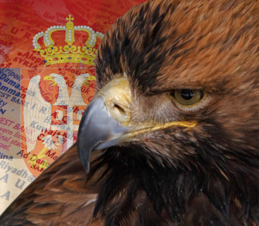 DRAMA SRPSKOG ORLA Zatočili ga i prodali, a sad usledio obrt