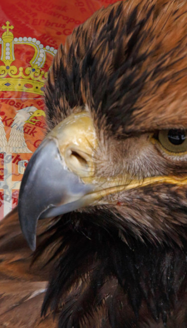 ДРАМА СРПСКОГ ОРЛА Заточили га и продали, а сад уследио обрт