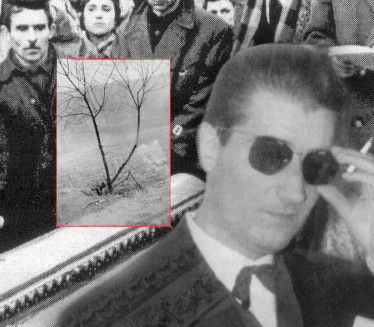 Što je Branka Miljkovića majka sahranila u staklenom kovčegu