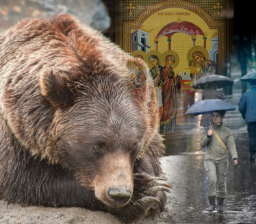 КИША ЛИЛА НА СРЕТЕЊЕ А онда су видели шта су урадили медведи