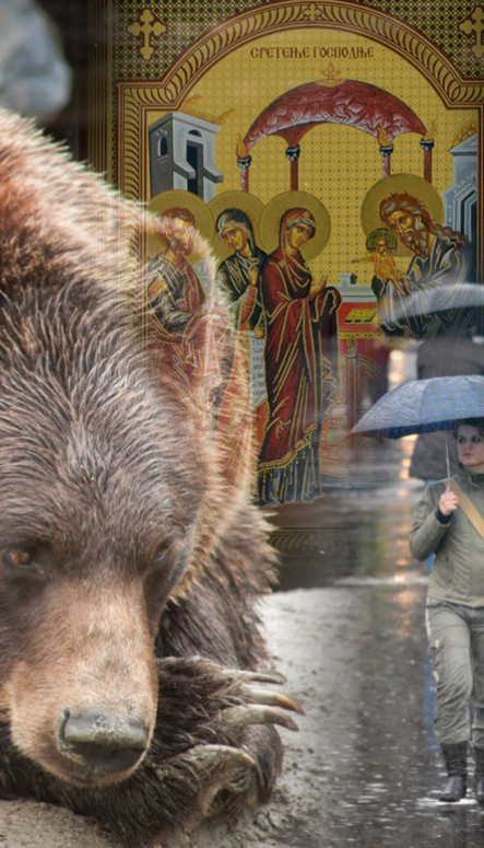KIŠA LILA NA SRETENJE A onda su videli šta su uradili medvedi
