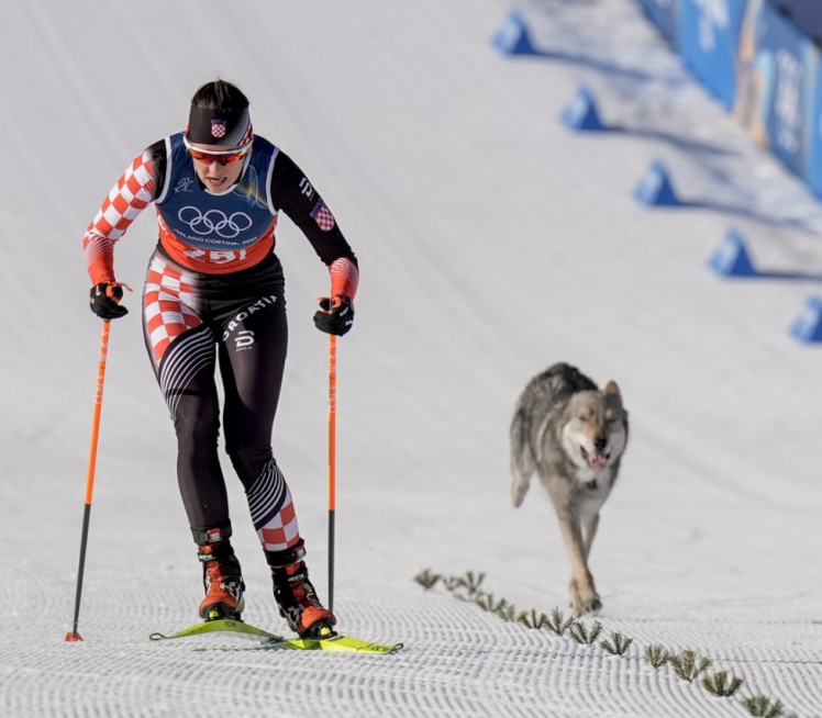 DRAMA NA OLIMPIJADI! Za Hrvaticom trčao pas nalik vuku FOTO