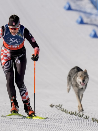 DRAMA NA OLIMPIJADI! Za Hrvaticom trčao pas nalik vuku FOTO
