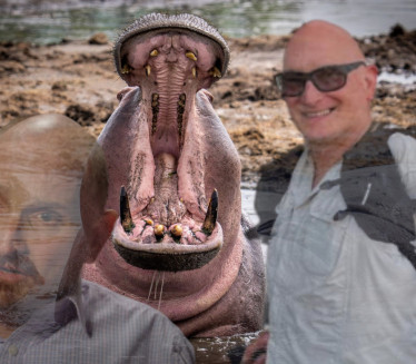 Nilski konj ga SAŽVAKAO I ISPLJUNUO: Evo kako je preživeo