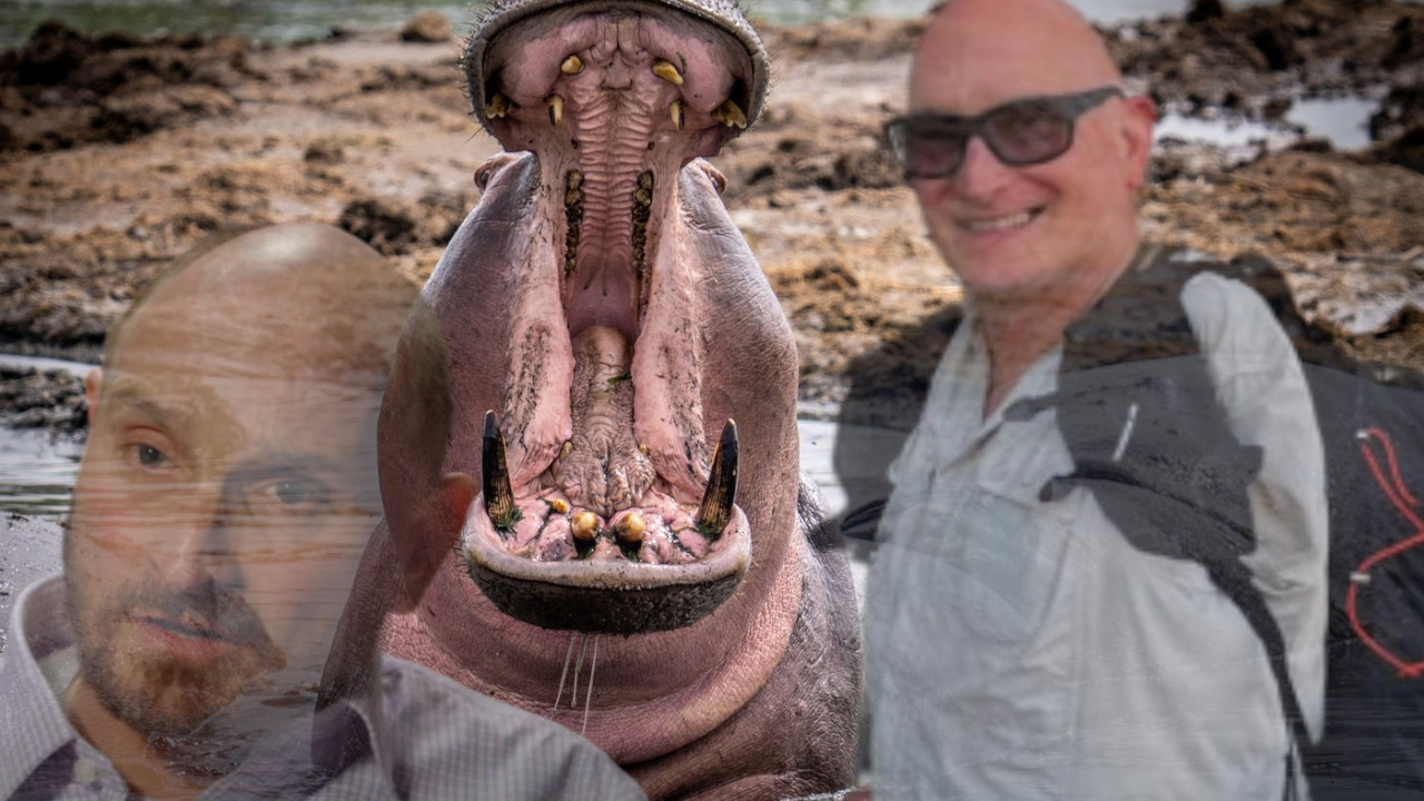 Нилски коњ га САЖВАКАО И ИСПЉУНУО: Ево како је преживео