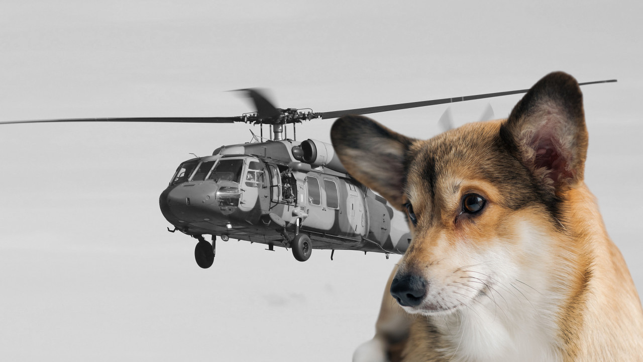 ПАО ХЕЛИКОПТЕР: 15 мртвих, 7 деце - само пас преживео!