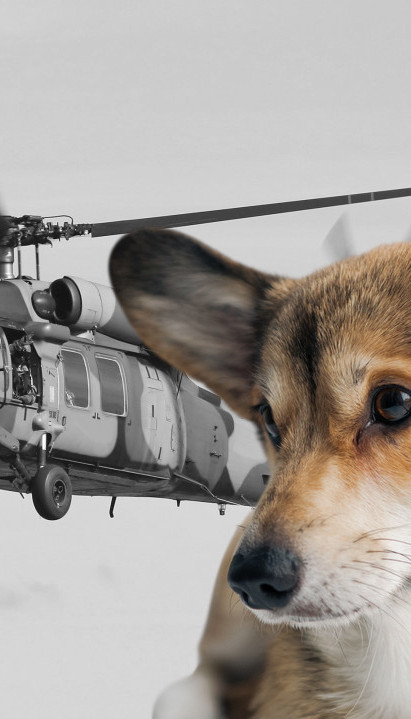 ПАО ХЕЛИКОПТЕР: 15 мртвих, 7 деце - само пас преживео!