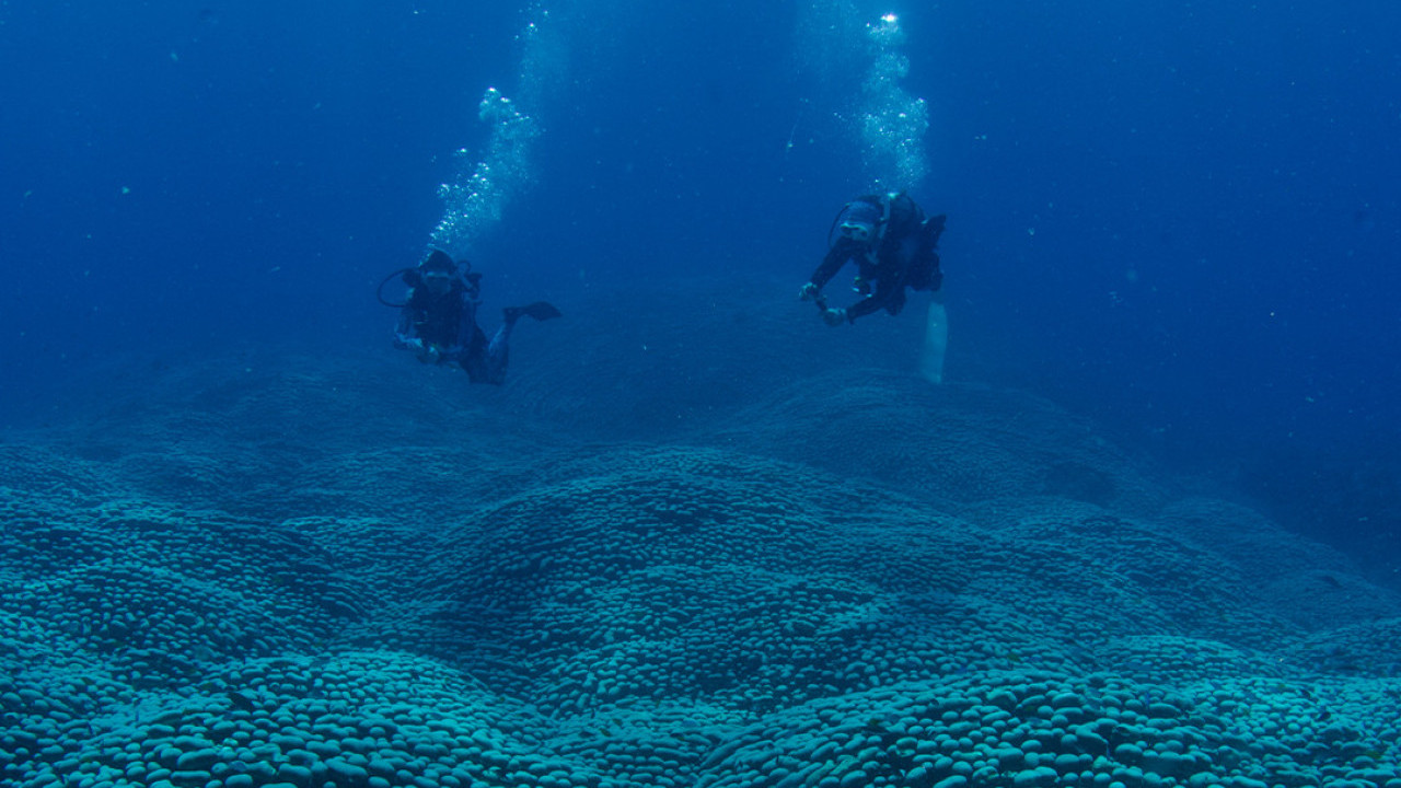 "NAJVEĆI NA SVETU!" Fascinantno otkriće na dnu mora
