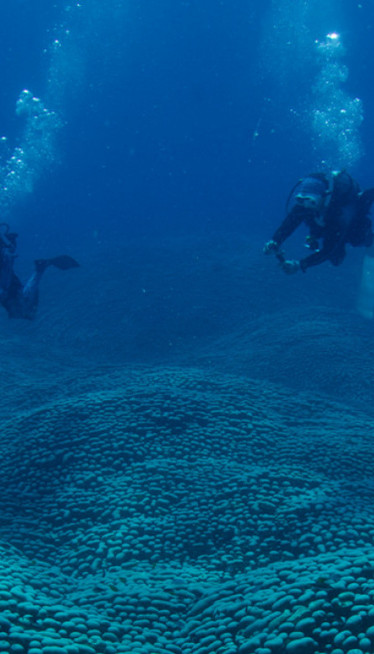 "NAJVEĆI NA SVETU!" Fascinantno otkriće na dnu mora