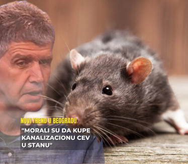 Beograđanka kupila PACOVA kao ljubimca, upala u probleme