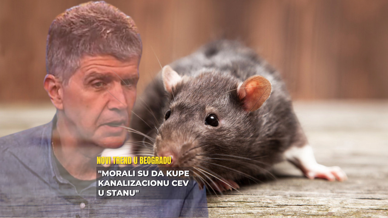 Beograđanka kupila PACOVA kao ljubimca, upala u probleme