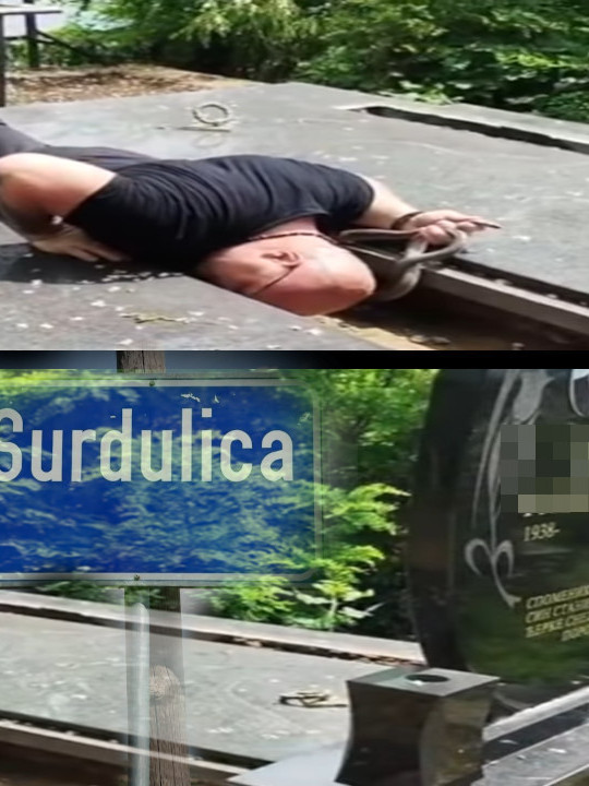 Izvadio smuka od 2m iz groba pre ukopa gastosa iz Austrije