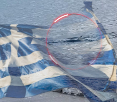 Velika ajkula snimljena U PLIĆAKU u Grčkoj - ljudi u ŠOKU