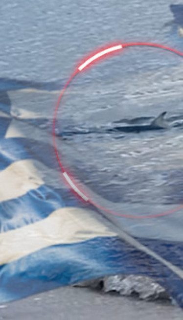 Velika ajkula snimljena U PLIĆAKU u Grčkoj - ljudi u ŠOKU