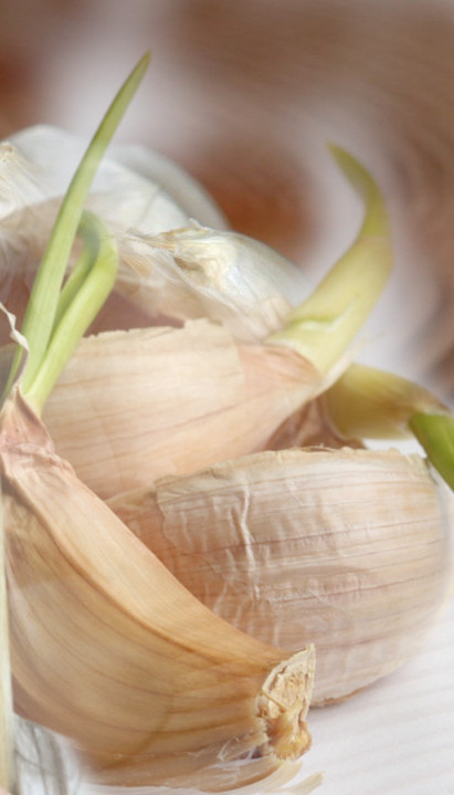 POJELI STE PROKLIJALI BELI LUK? Evo šta se dešava vašem telu