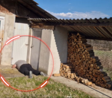 ŠOK KOD VRANJA Seljane prizor paralisao: "Bio je tu 5 leta"