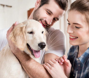 ISTI BROJ DECE I PASAJesu li ljubimci postali centar porodice