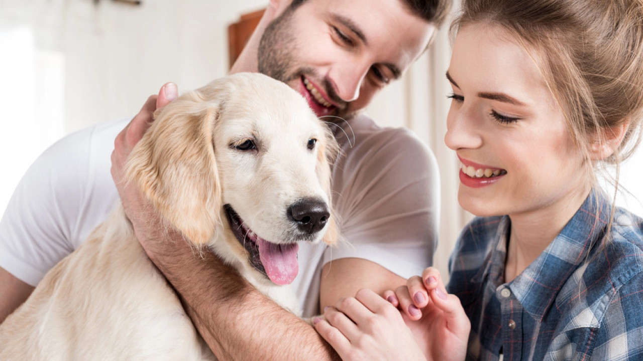 ISTI BROJ DECE I PASAJesu li ljubimci postali centar porodice