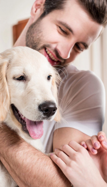ISTI BROJ DECE I PASAJesu li ljubimci postali centar porodice