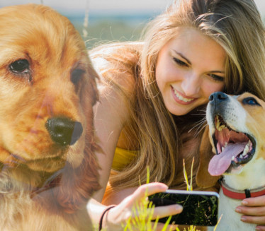 MNOGIMA SE NEĆE DOPASTI Da li pas tuguje kad izgubi vlasnika