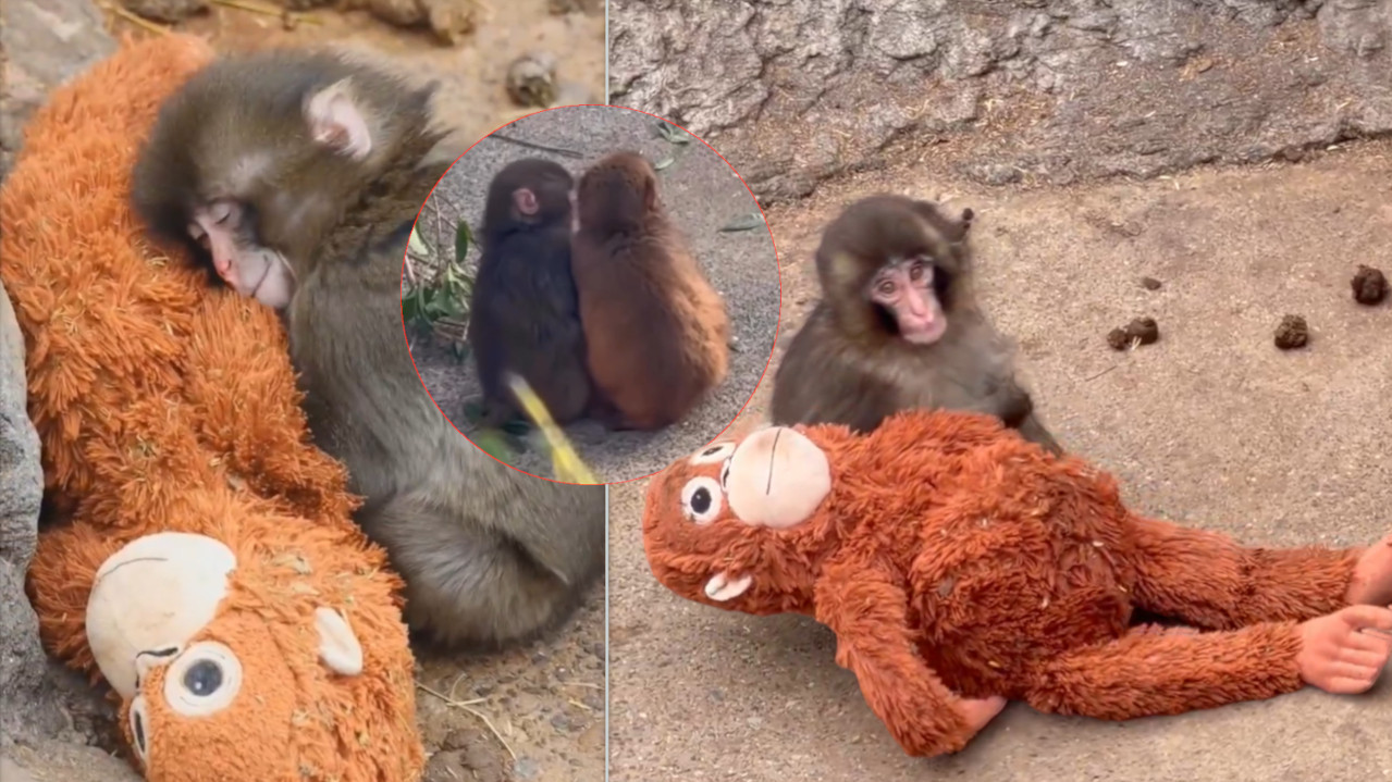 MAMA GA ODBACILA, BIO MALTRETIRAN: Panč je našao devojku!