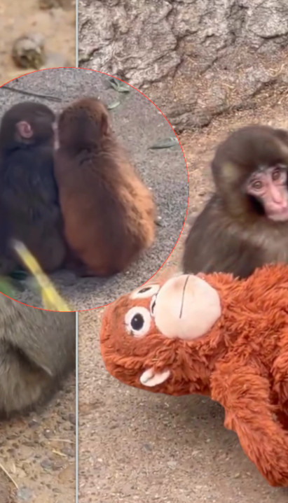 MAMA GA ODBACILA, BIO MALTRETIRAN: Panč je našao devojku!