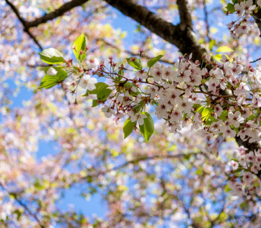 PROGNOZA ZA APRIL: Kiša do ovog datuma, a onda i 25 stepeni