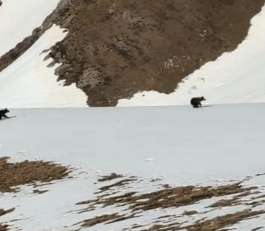 Planinari u Bosni snimili prizor kakav se RETKO VIĐA