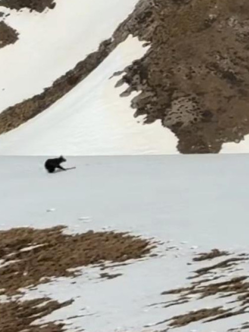 Планинари у Босни снимили призор какав се РЕТКО ВИЂА