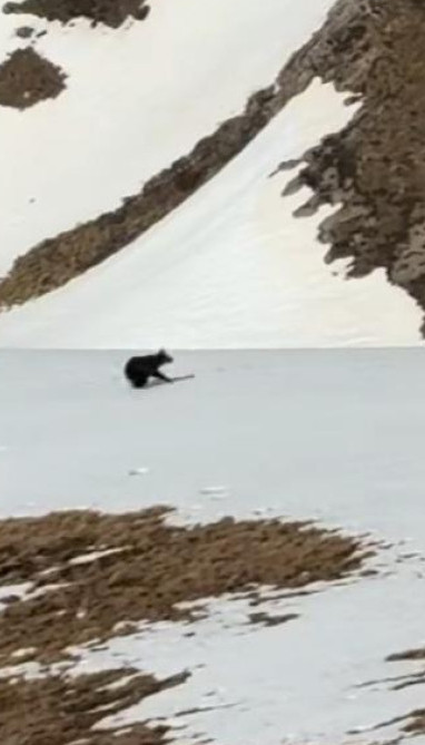 Planinari u Bosni snimili prizor kakav se RETKO VIĐA