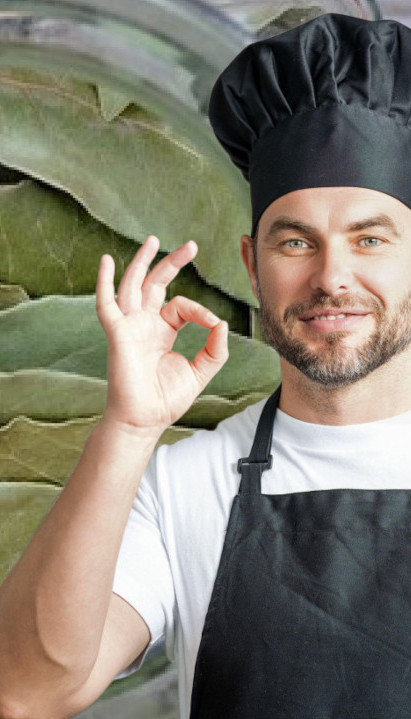 Шта се дешава у организму кад у исхрани користимо ловор?