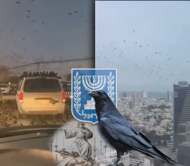 "ЛОШ ЗНАК" Хиљаде врана окупирало Тел Авив (ВИДЕО)
