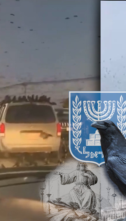 "ЛОШ ЗНАК" Хиљаде врана окупирало Тел Авив (ВИДЕО)
