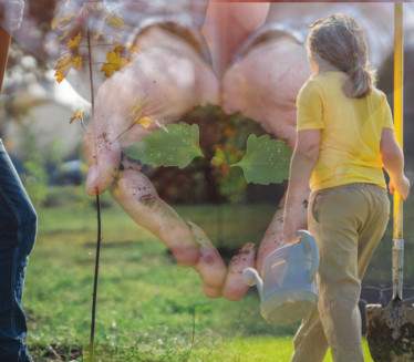 ДОНОСЕ БЕДУ: Ове биљке никако не треба садити у дворишту