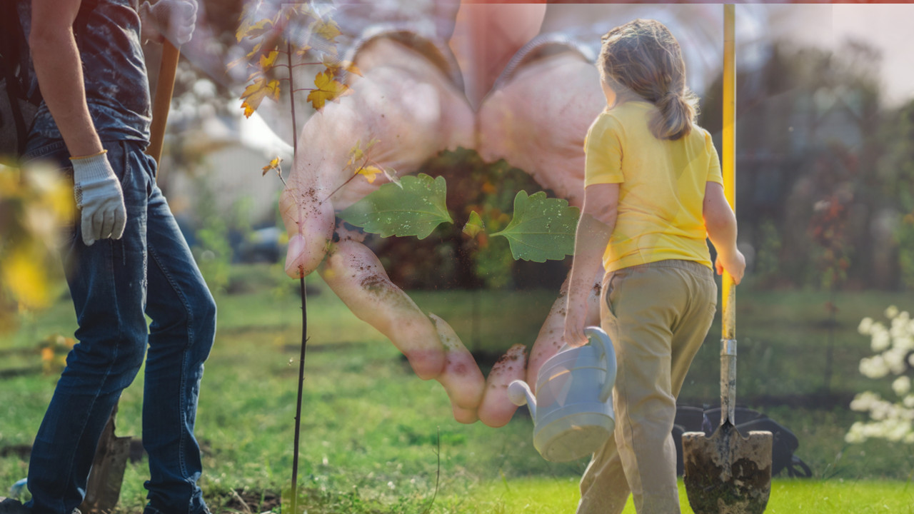 DONOSE BEDU: Ove biljke nikako ne treba saditi u dvorištu