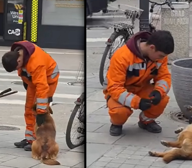 SRBIJA BRUJI O SNIMKU: Šta je radnik čistoće radio sa psom