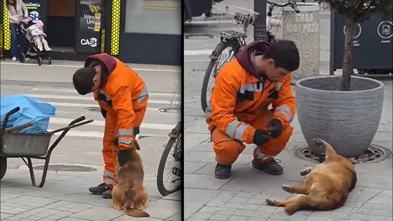 СРБИЈА БРУЈИ О СНИМКУ: Шта је радник чистоће радио са псом