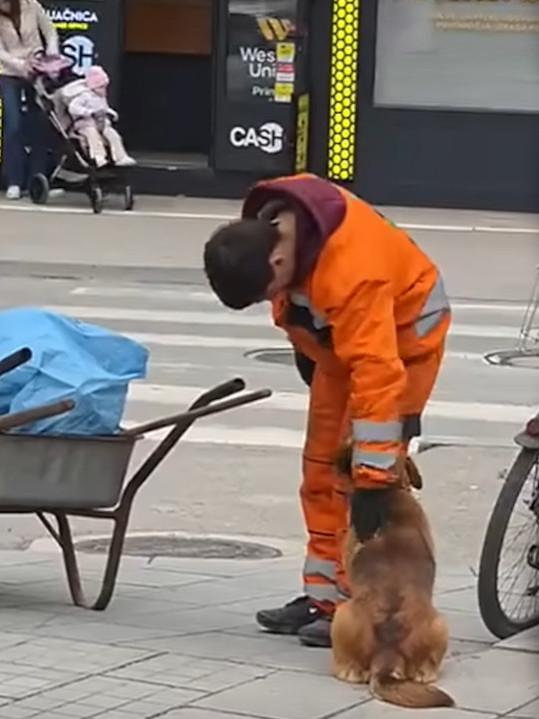SRBIJA BRUJI O SNIMKU: Šta je radnik čistoće radio sa psom