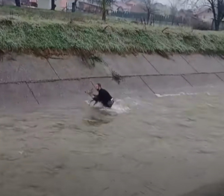 ЈОВАН ОДУШЕВИО РЕГИОН! Из набујале реке спасио срну (ВИДЕО)