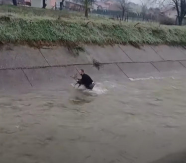 ЈОВАН ОДУШЕВИО РЕГИОН! Из набујале реке спасио срну (ВИДЕО)