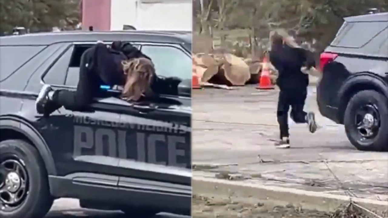 ПРИВЕЛИ ЈЕ,ОНА ИМАЛА ДРУГИ ПЛАН Спектакуларан бег у лисицама