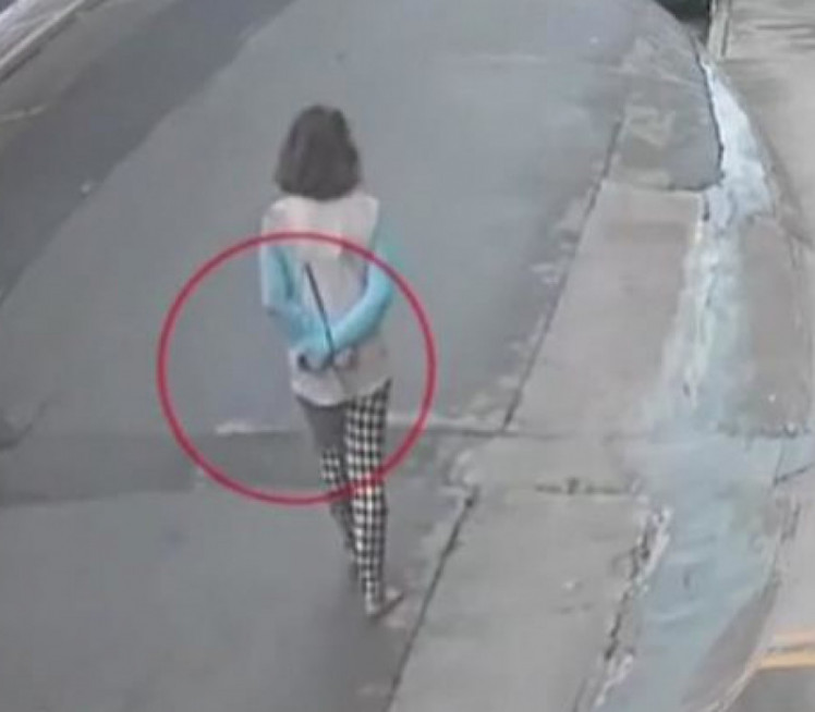 NA ULICI BOSA, VEZANA: Snimak šokirao Grke, usledio UŽAS