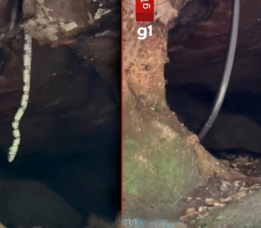 NAJDUŽA ZMIJA IKAD? Izašla iz stene - nema joj kraja