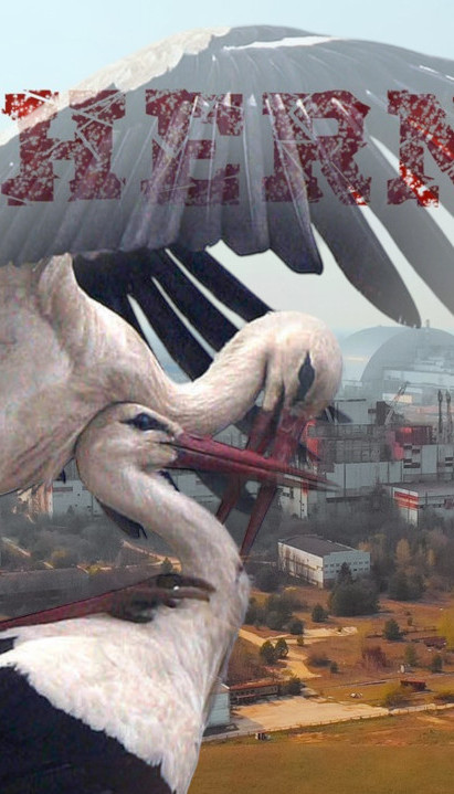 СЕНЗАЦИЈА: Роде се вратиле у Чернобиљ после 20 лета