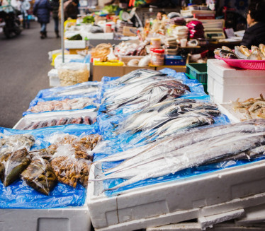 NAJZDRAVIJA RIBA NA SVETU: Ima brojne benefite