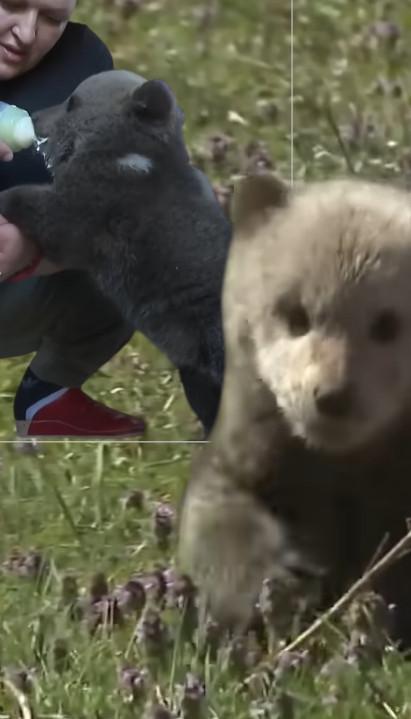 ЧАЧИЋИ ДОБИЛИ ГОСТА Меда стар 3 месеца им "покуцао" на врата